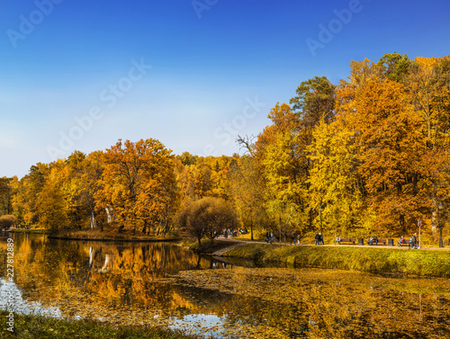 Autumn Park in Tsaritsyno Museum-reserve, Moscow, Russia