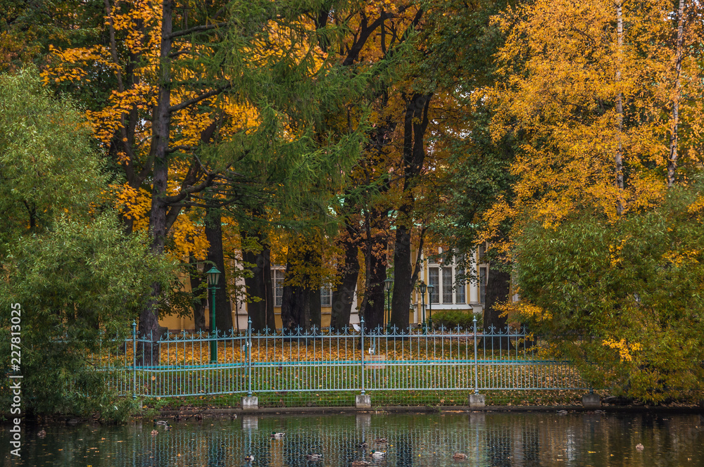 autumn in the park autumn in the park