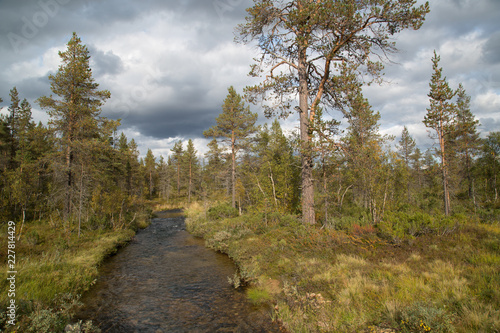 Nature on the mountain Kiilopää, Kakslauttanen stream