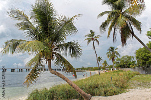 Fototapeta Naklejka Na Ścianę i Meble -  Big Pine Key, Florida, USA - July 21, 2016: Landscape with palm trees on the beach with white sand, turquoise water