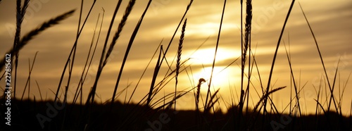 Romantik Abendhimmel