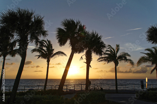 Palm beach, Florida, USA - August 5, 2016: Silhouette coconut palm trees on beach at sunset