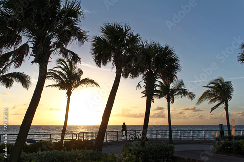 Palm beach, Florida, USA - August 5, 2016: Silhouette coconut palm trees on beach at sunset