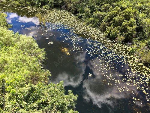 Fototapeta Naklejka Na Ścianę i Meble -  Everglades National Park, Florida, USA - July 22, 2016: Everglades National Park in Florida