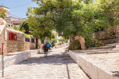 Fototapeta Naklejka Na Ścianę i Meble -  Hydra