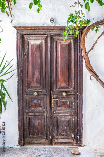 Fototapeta Naklejka Na Ścianę i Meble -  Hydra