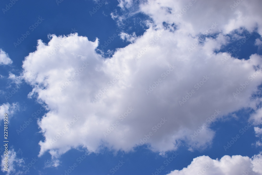 Fototapeta premium blue sky with white clouds