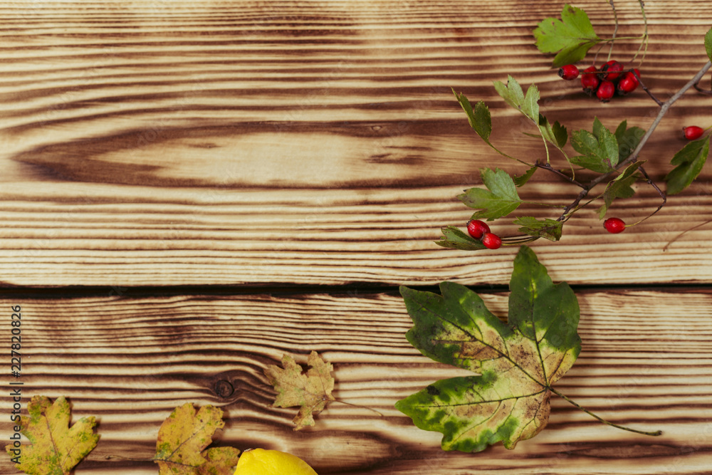 Autumn maple leaves on wooden background Autumn maple leaves on wooden background