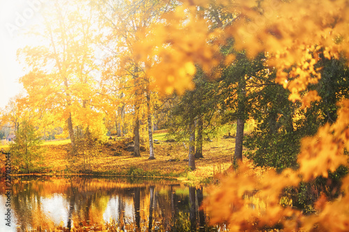 Indian summer at a pond wit...