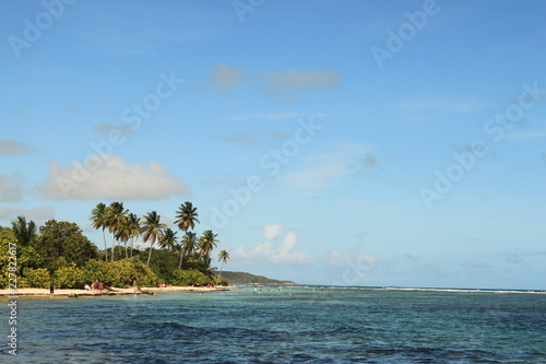 Island with palm trees and turquoise water