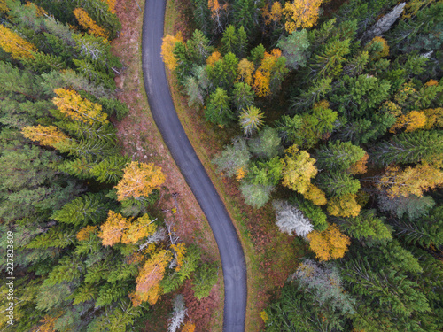 Aerial view of thick forest in autumn with road cutting through