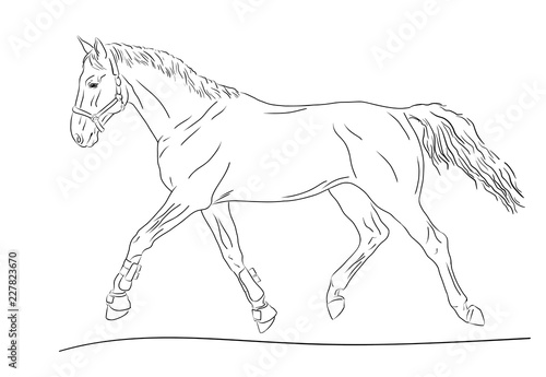 A sketch of a trotting horse.