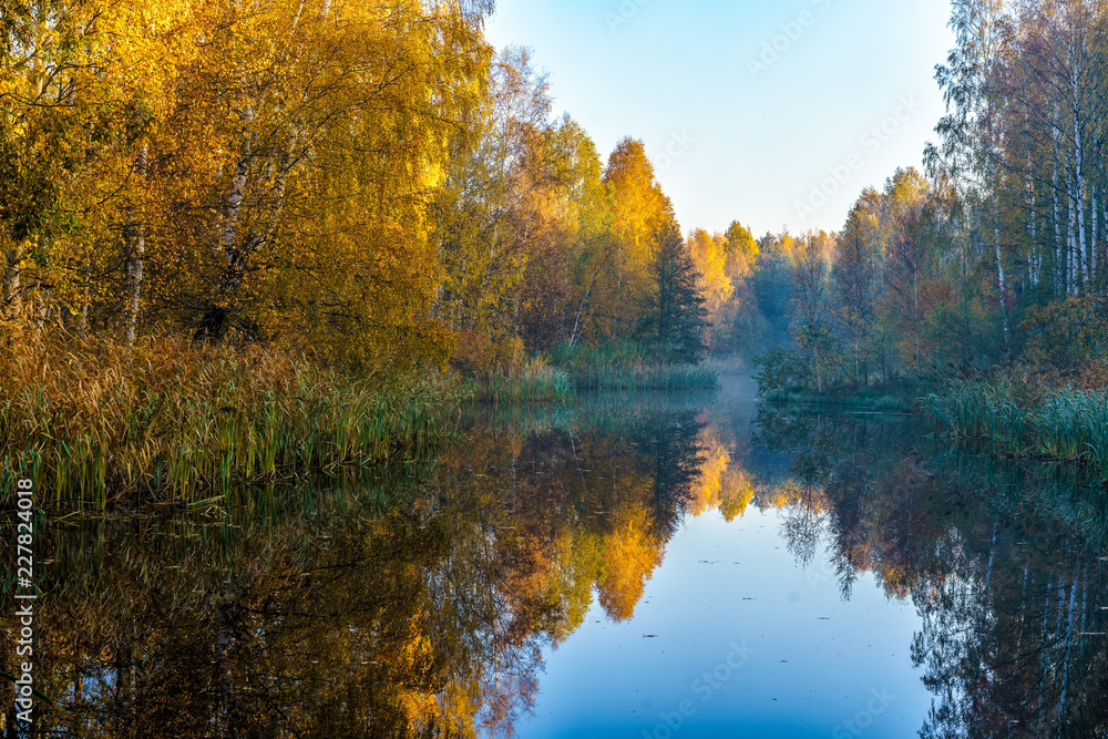 Obraz premium Colorful trees in the fall at a beautiful pond in a constructed wetland for management of surface water. Located close to Stockholm, Sweden