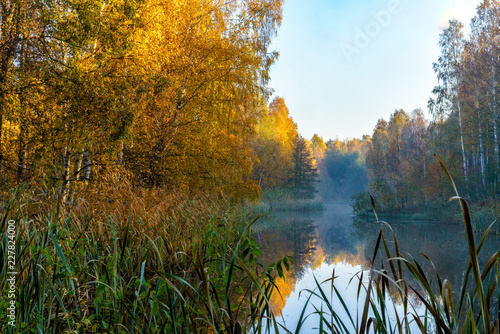 Colorful trees in the fall at a beautiful pond in a constructed wetland for management of surface water. Located close to Stockholm, Sweden