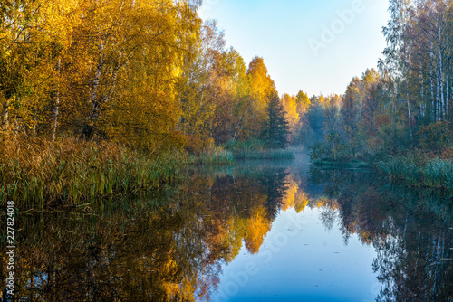 Colorful trees in the fall at a beautiful pond in a constructed wetland for management of surface water. Located close to Stockholm, Sweden
