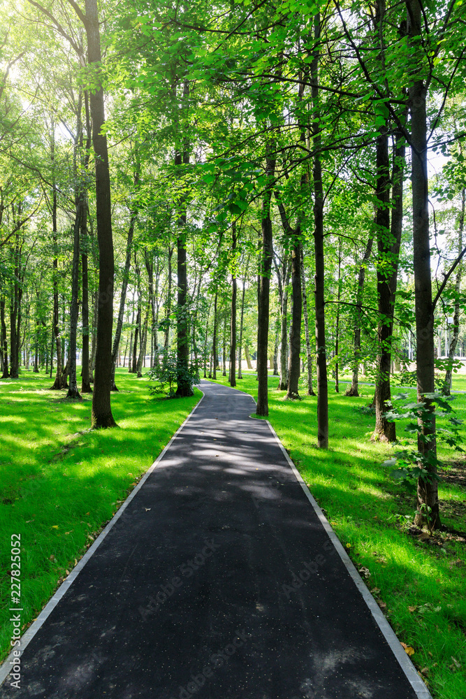 Fototapeta premium The new park of Moscow, fresh paths and the sun's rays through the crowns of trees. Vnukovo