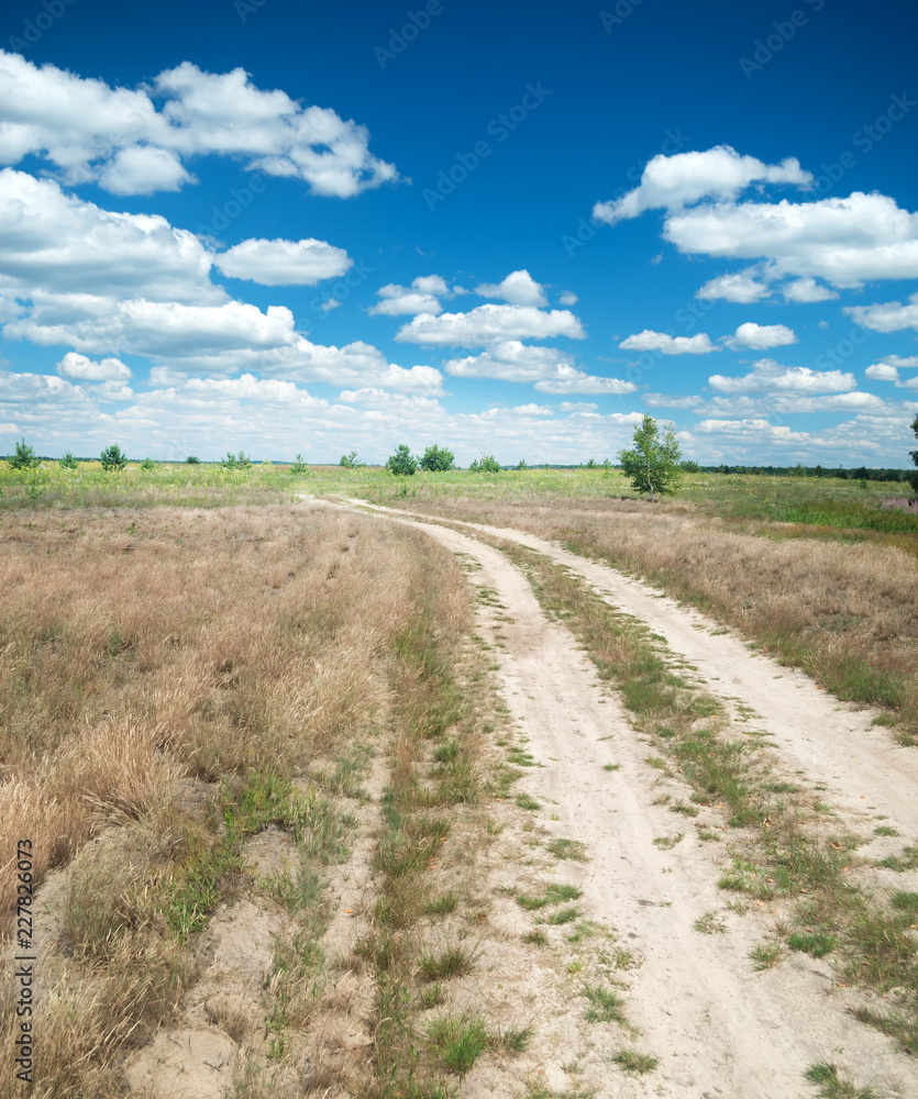 Fototapeta premium summer landscape