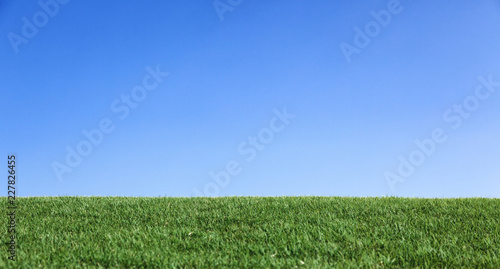 Photography green grass and blue sky