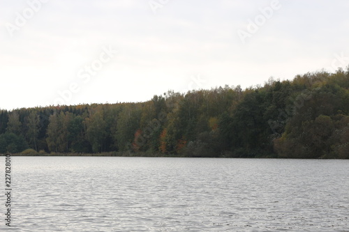 The shore of the forest lake is beautiful in early autumn © Yuliya
