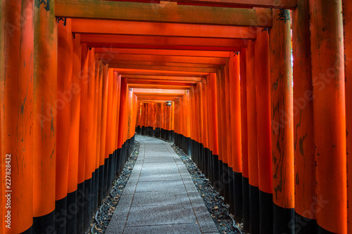 red toriis pathway at fushimi inure in kyoto  Japan