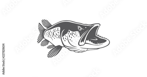 pike fish