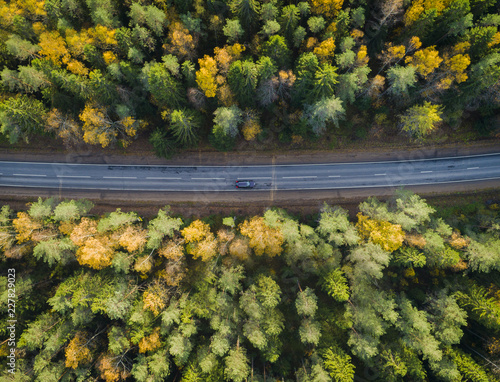 Aerial view of a car on the road. Autumn landscape countryside. Aerial photography of autumn forest with a car on the road. Captured from above with a drone. Aerial photo. 