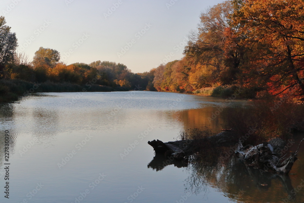 Fototapeta premium Auenlandschaft im Herbst in Österreich