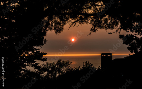 Pacific Sunset through a Window in the Trees