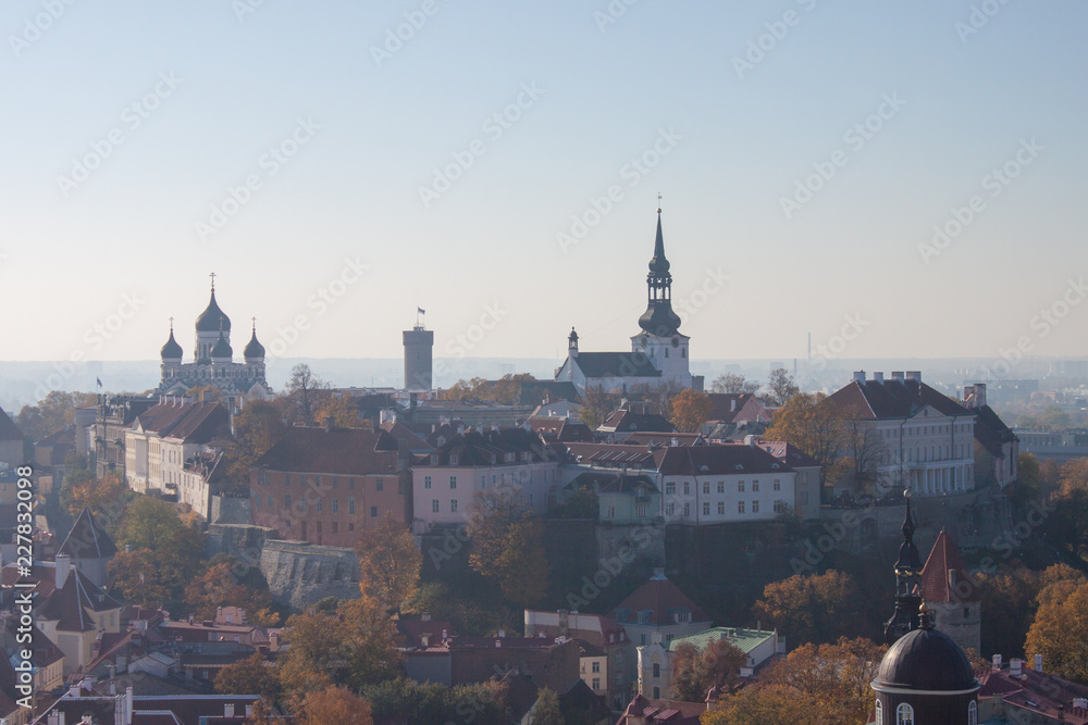 aerial view of the the old Tallinn, Estonia, from the St. Olav's Church tower in autumn
