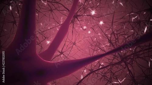 Flying inside human eye, iris and neurons in brain - 3D rendered animation.