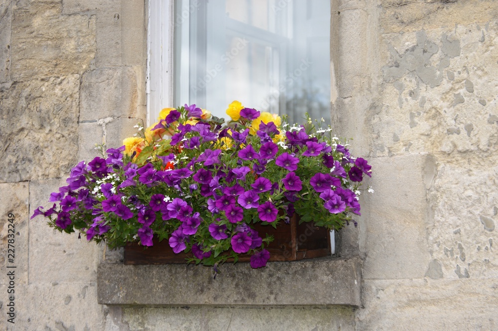 Adorno floral en ventana