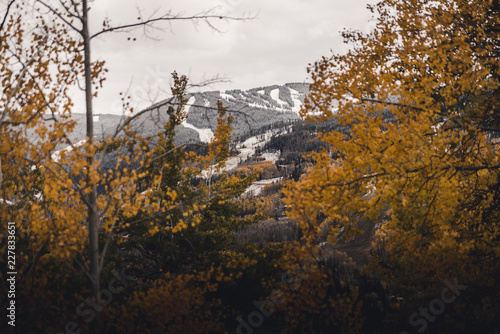 Wallpaper Mural Ski runs at Vail, Colorado framed between autumn leaves after a snow storm.  Torontodigital.ca