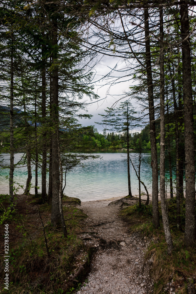 Blick durch Bäume auf Tovelsee Naturpark Impressionen Italien Lago di Tovel Blick durch Bäume auf Tovelsee Naturpark Impressionen Italien Lago di Tovel