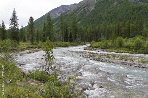 Altai Mountains. The Shawla River. Siberia, Russia. photo