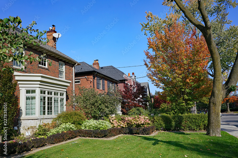 residential district with mature trees residential district with mature trees