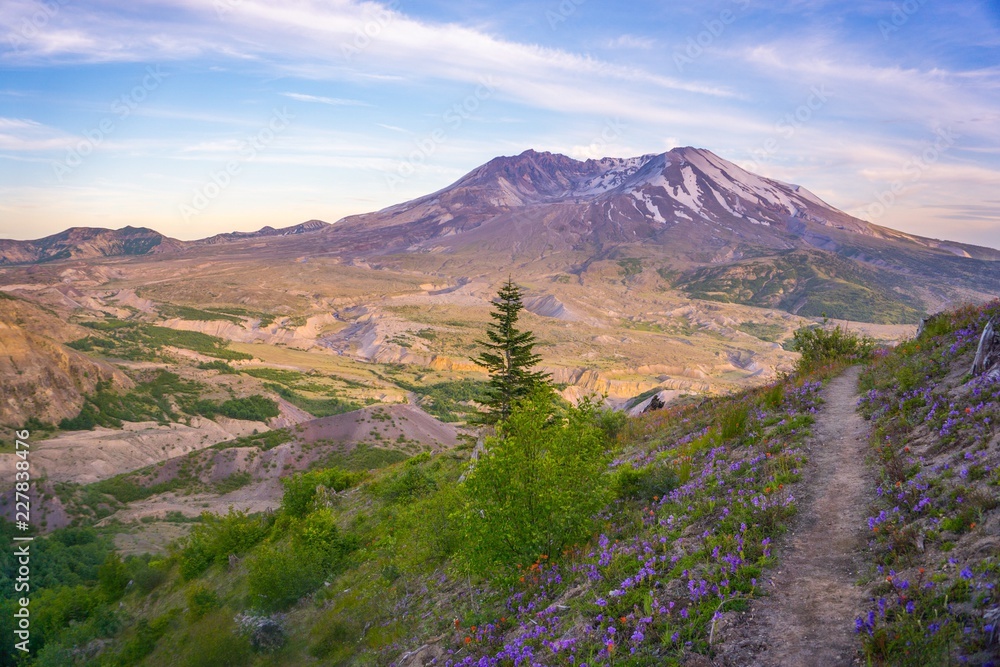 Hiking trails in spring at Mt St Helens