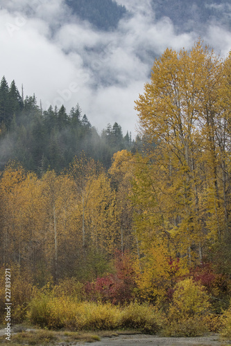 fall time in the Pacific Northwest