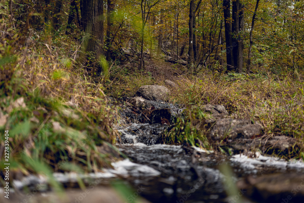 Stream Near Hiking Trail Stream Near Hiking Trail