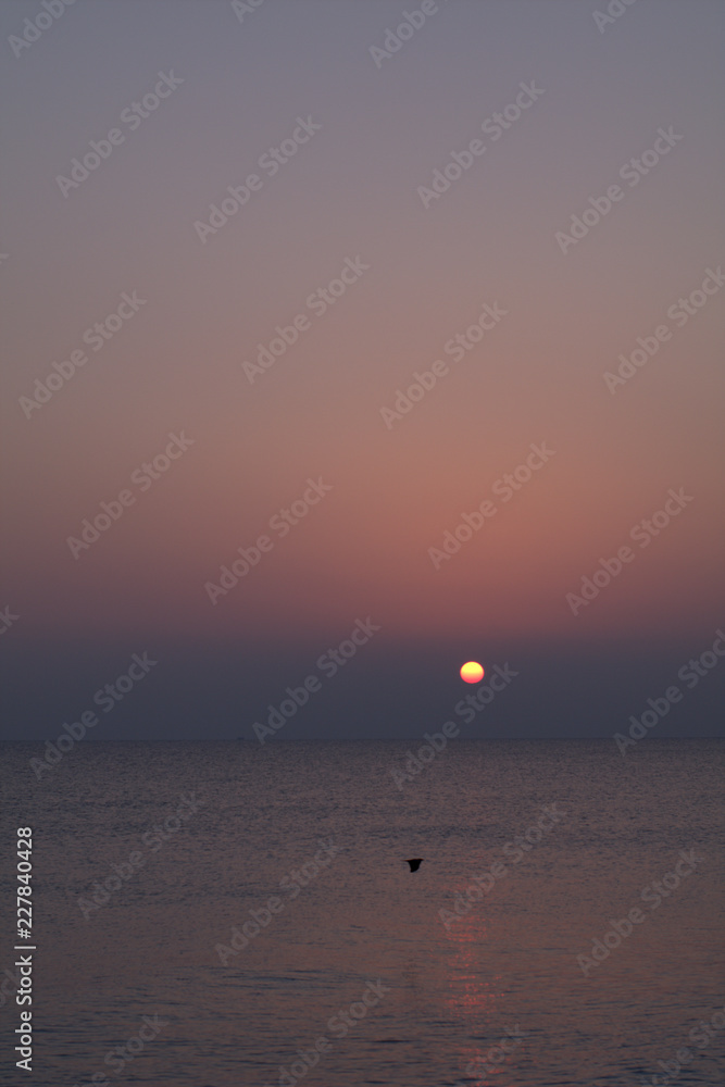 sunset at the sea,sea, sun, sky,evening, landscape,horizon,seascape sunset at the sea,sea, sun, sky,evening, landscape,horizon,seascape