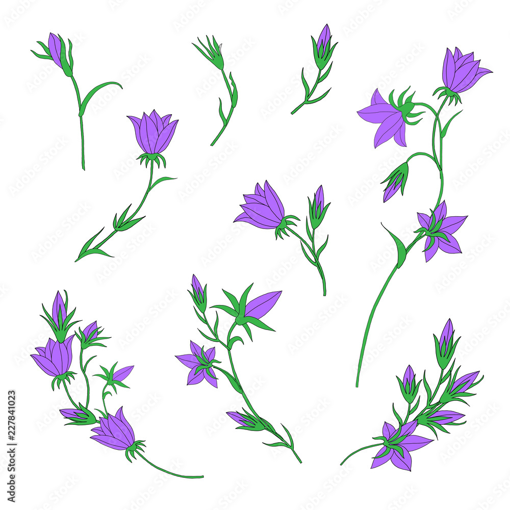 Bundle of Hand Drawn Bellflowers Isolated on White Background for Custom Pattern Designs and Illustrations for All Media, Web, Textile, Wallpaper. Cute Vector Bell Flower Pattern Designs 