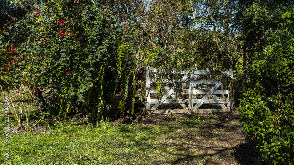 White farm gate, with many plants in the background.