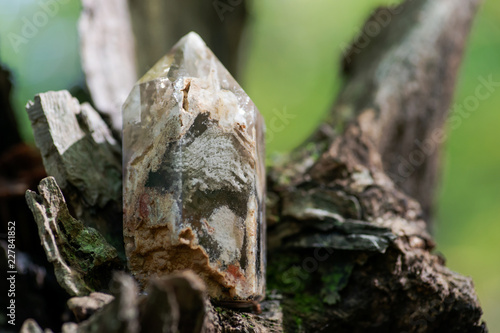 Natural polished shamanic dream quartz point with various inclusions on moss, bryophyta and bark, rhytidome in forest preserve.