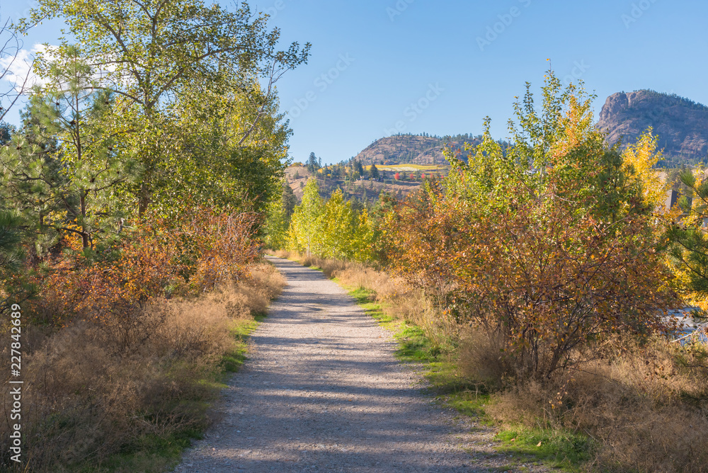 Nature trail through forest with autumn leaves, mountains, and blue sky