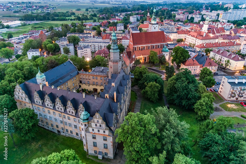 Olesnica castle aerial view photo