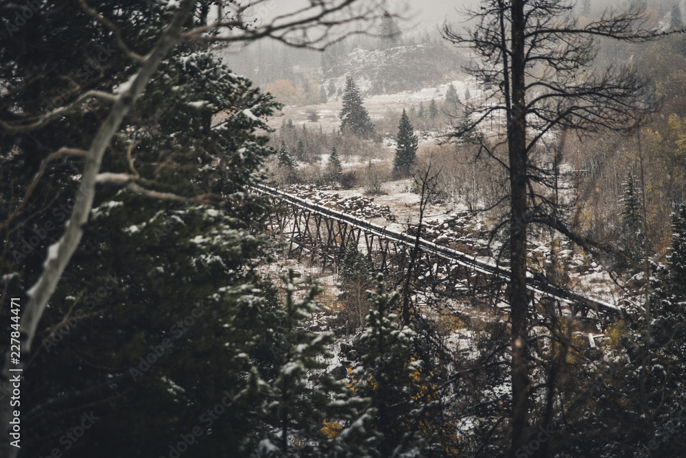 Fototapeta premium winter, snow, landscape, forest, cold, tree, trees, nature, mountain, sky, frost, white, ice, frozen, season, road, pine, blue, outdoor, snowy, park, fir, country, ski, river, outside, outdoors, adven