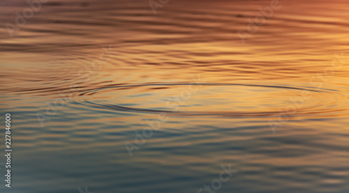 Water ripples 