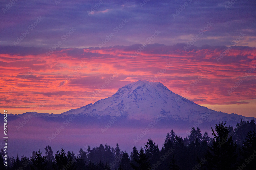 Mt Rainier in Washington State all lit up with the morning sunrise Mt Rainier in Washington State all lit up with the morning sunrise