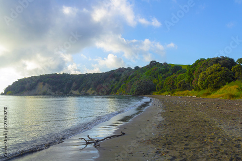 Landscape Scenery of Sullivans Bay Mahurangi Beach Auckland, New Zealand
