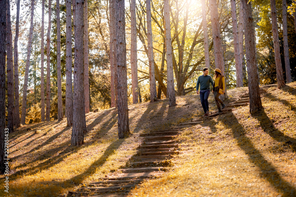 Fototapeta premium Beautiful smiling love couple walking in colorful autumn forest park