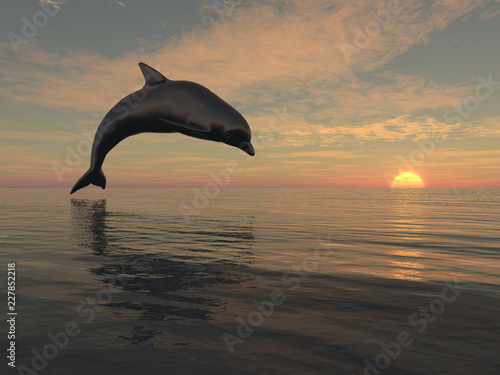 Jumping dolphin at sunset